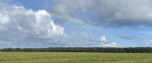 Uitzicht met regenboog op de Hondsrug in Drenthe
