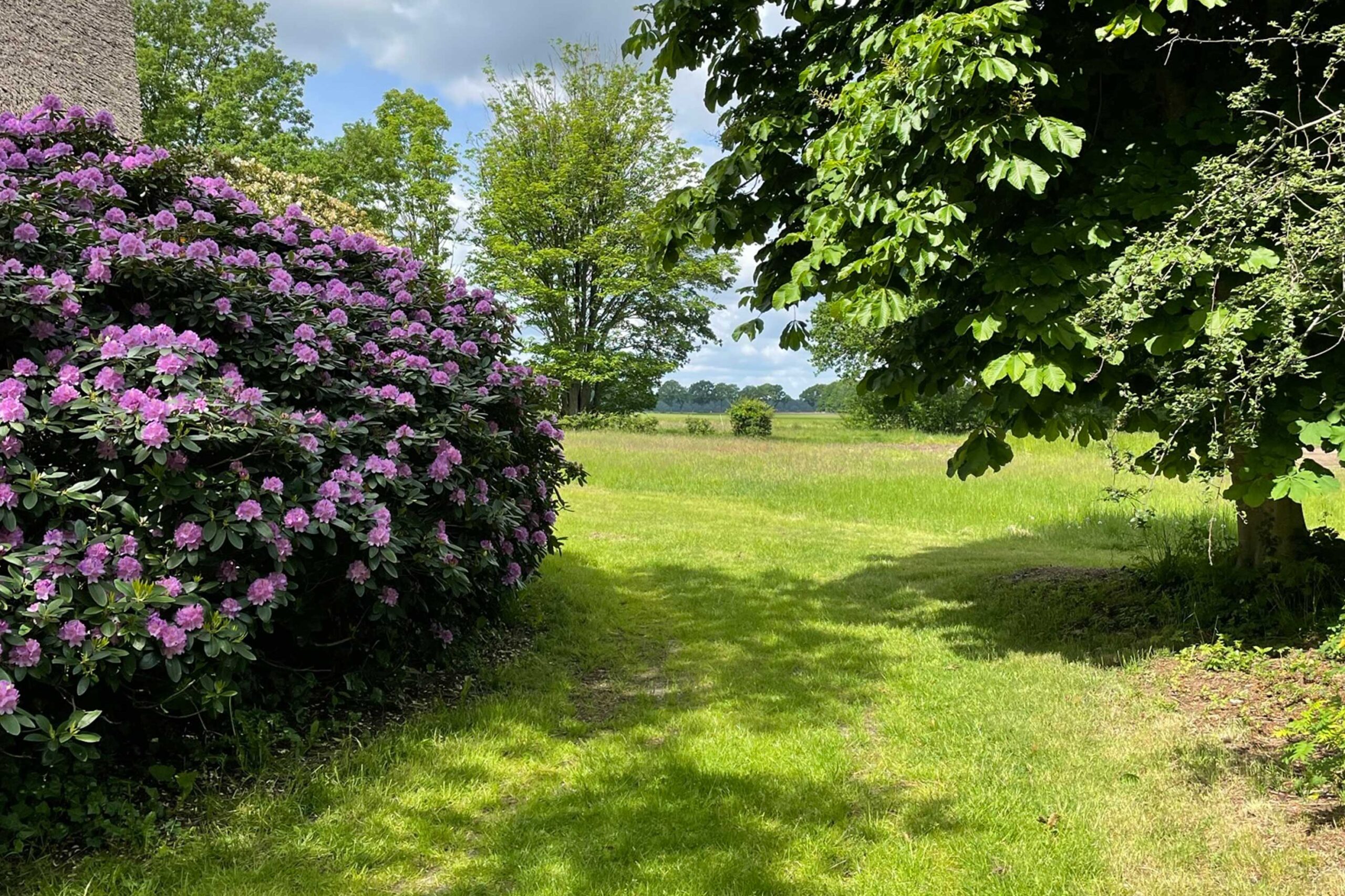 Pad naar het natuurhuisje Drente